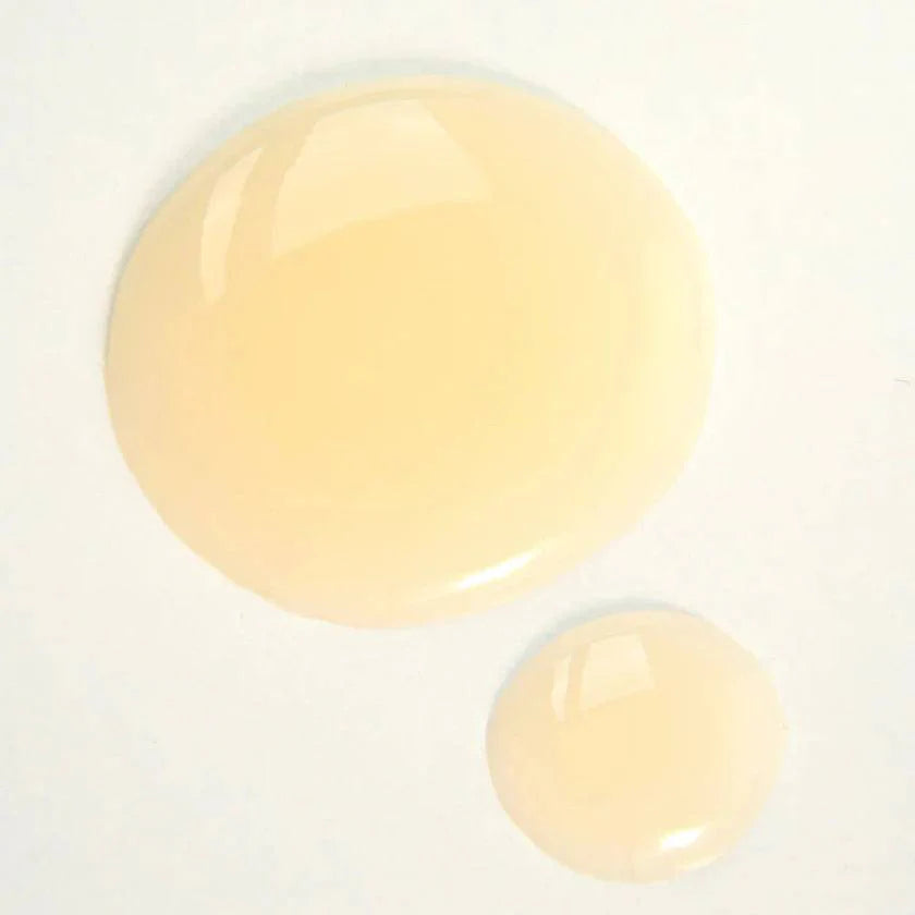 Curly Angels Absolution Shampoo