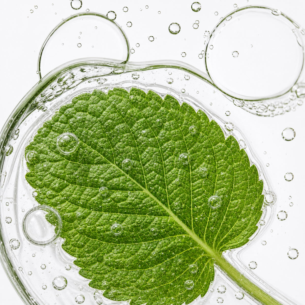 Inahsi Naturals Soothing Mint Feuchtigkeitsspendender Conditioner