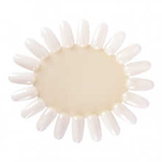 Bifull Nail Swatch 3 Units