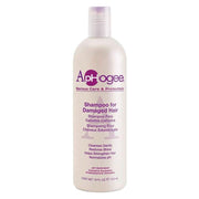 ApHogee Shampoo für geschädigtes Haar 473 ml / 16 oz