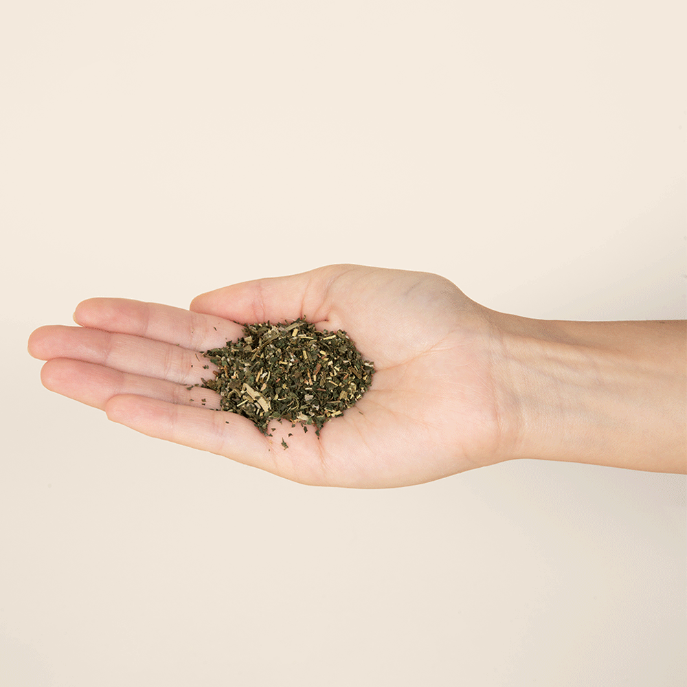 Bounce Curl Botanical Tea for Hair, Skin & Well Being-Herbal Hair Treatment-Aladin Beauty