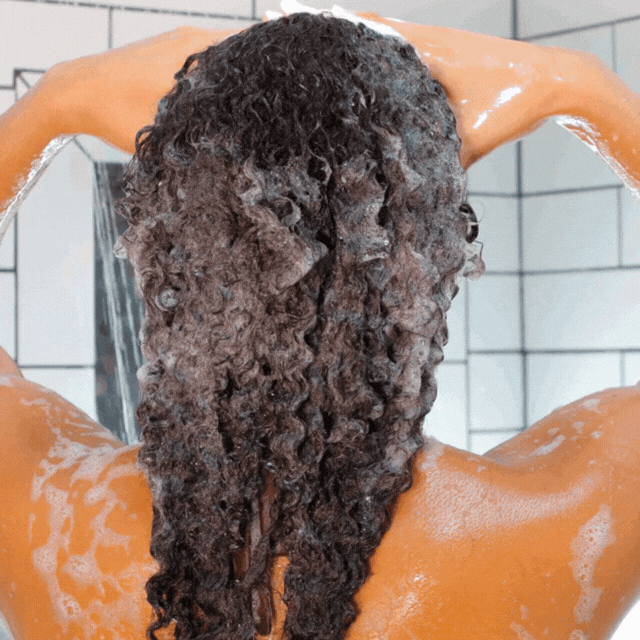 Person with dark, curly hair washing it with Bounce Curl Pure Silk Moisturizing Shampoo, lather visible.