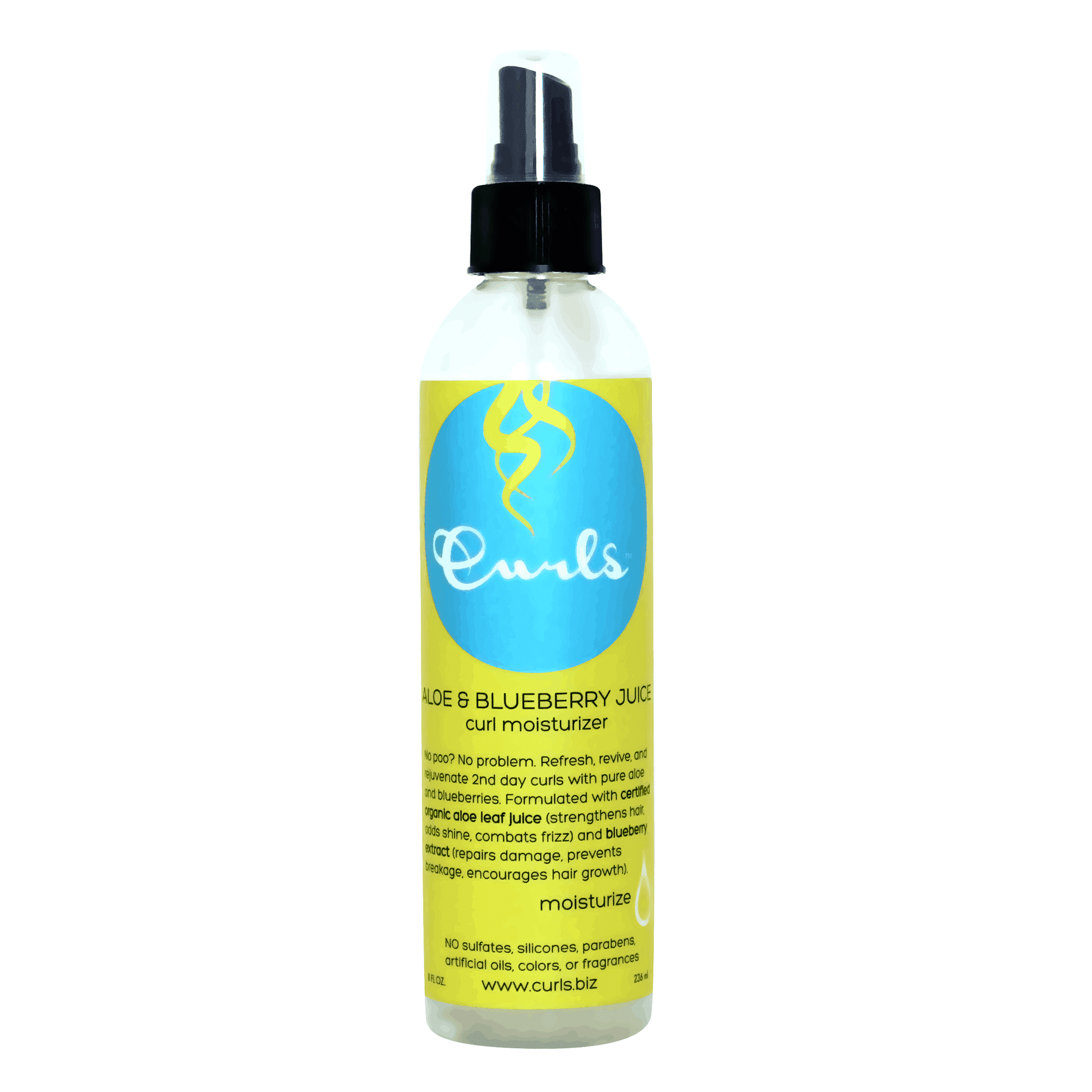 Curls Aloe & Blueberry Juice Curl Moisturizer 236ml - Aladin Beauty